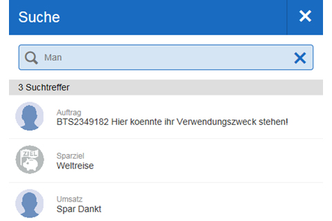 Bild einer hausbanking Suche.